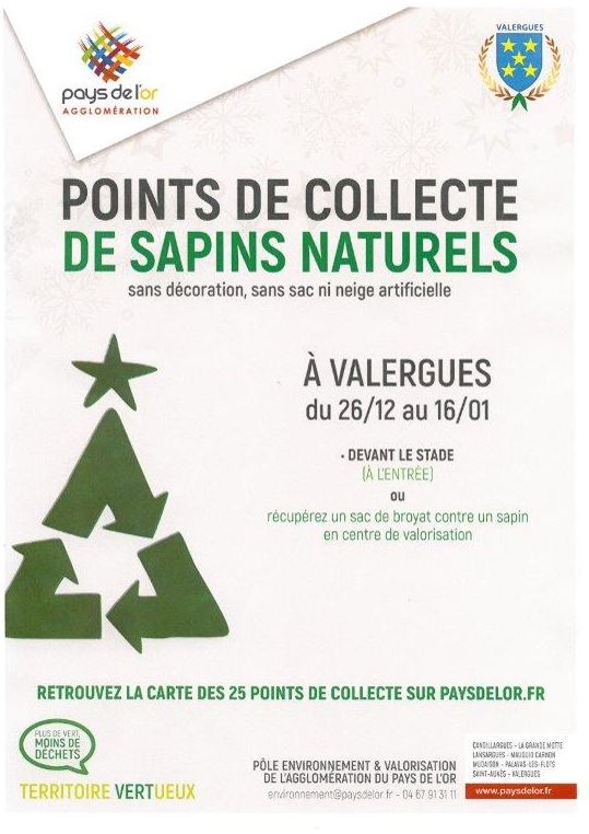 COLLECT SAPINS