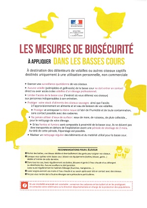 Mesure de biosécurité linfluenza 2020