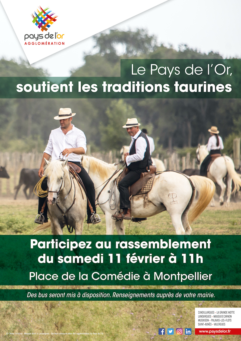 traditions taurines Manifestation Affiche 2023