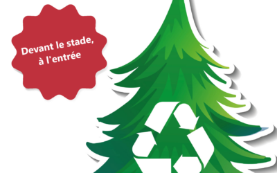 Collecte de sapins de Noël