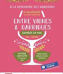 Entre Vignes et Garrigues