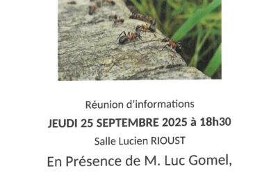 FOURMIS INVASIVE LA TAP