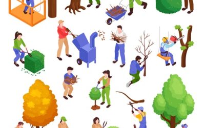 Travaux d&rsquo;élagage et abattage sur la commune, du 01/01/2026 au 15/03/2026